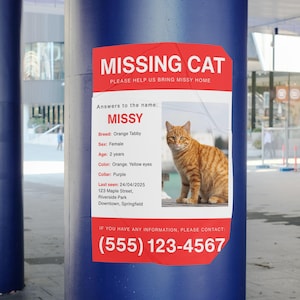 Missing Lost Pet Poster Template • Cats, Dogs & more / Canva Editable • Instant Download • Customizable • Pet Lost Flyer Alert