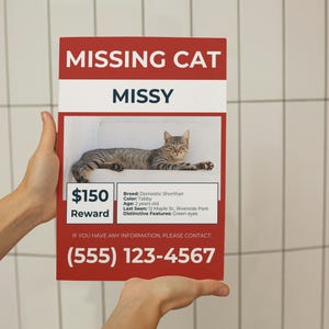 May include: A red and white missing cat poster held by a person. The poster features the text "MISSING CAT" and "MISSY", along with a photo of a tabby cat. It includes contact information and a reward.