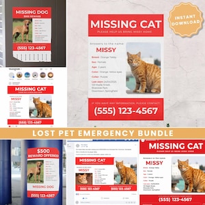 Könnte beinhalten: Eine Sammlung roter und weißer Vermisstenanzeigen für Haustiere. Ein Plakat ist für einen vermissten Hund mit einer Belohnung. Weitere Plakate sind für eine vermisste orangefarbene Tabby-Katze namens Missy. Enthält einen Social-Media-Beitrag.