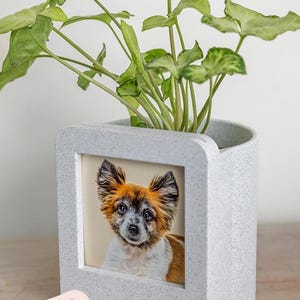 Photo Frame Planter
