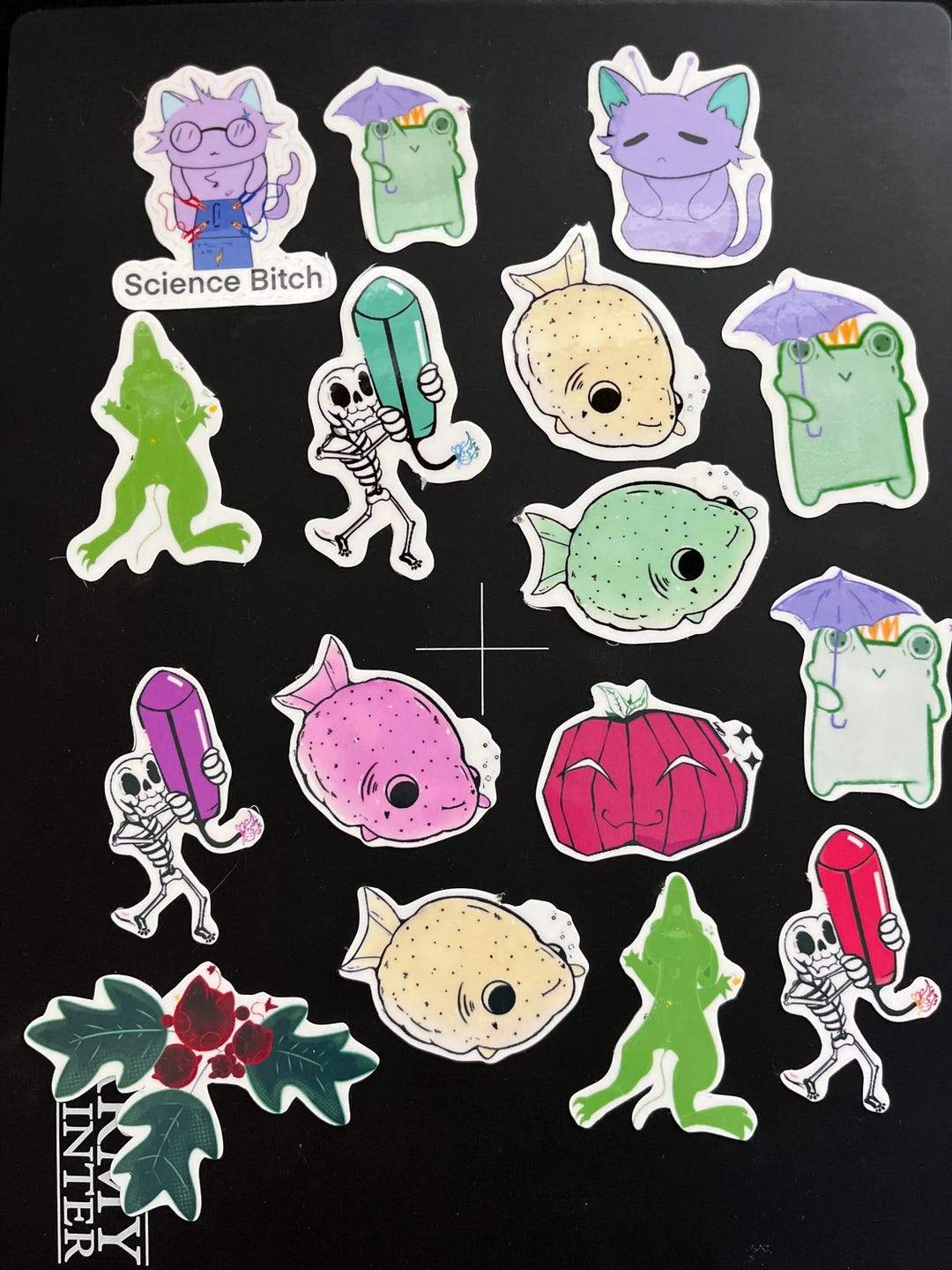 Random Skin Sticker Get a Random Set of 10 Stickers Photo Sticker – Handmade Waterproof ...