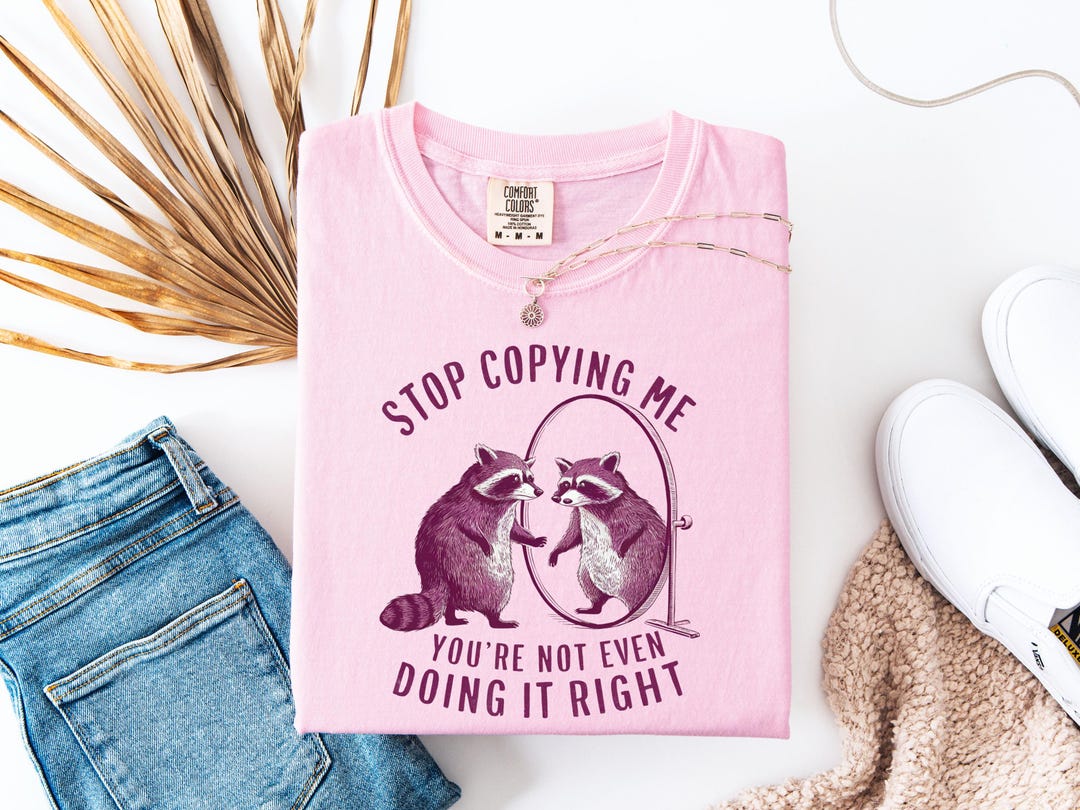 Funny Racoon Shirt, Funny Meme Shirt, Racoon Lover Shirt, Stop