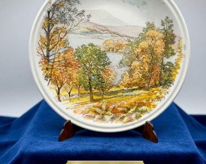Andrea Fontebasso 1760 Tognana Ironstone Plate, Vintage Country Landscape Decor, Made in Italy, 9.5", FREE SHIPPING