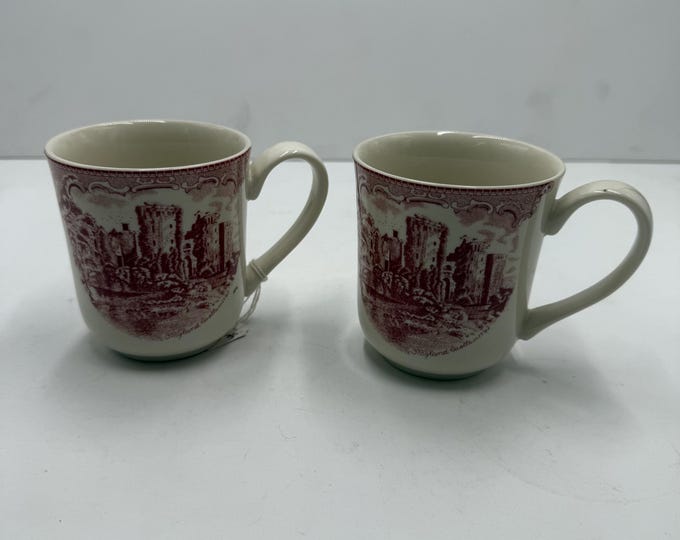 Coppia tazze vintage johnson bros england