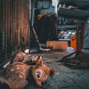 忘れられたバンビ – 額入りアーベックス写真（30x40 cm） – 過去の証言