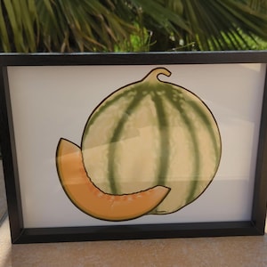 Illustrazione di un melone e della sua fetta