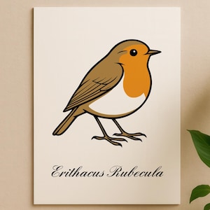 Robin Bird Svg – Erithacus rubecula Clipart – European Redbreast Vector Illustration – Svg Eps Pdf Png for Print or Digital Use