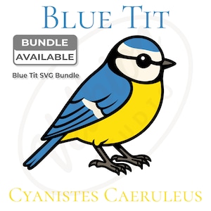 Może przedstawiać: Cyfrowa ilustracja modraszki z żółtą piersią, niebieskimi skrzydłami i czarnymi akcentami. Tekst "BLUE TIT" znajduje się u góry, z "BUNDLE AVAILABLE" i "Blue Tit SVG Bundle" w ramce. Nazwa naukowa "Cyanistes Caeruleus" znajduje się na dole.