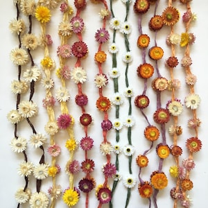 Guirnalda de flores secas con cinta de seda de sari reciclada – Adorno botánico de pared, decoración bohemia