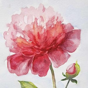 Original Watercolor Peony Painting | Pink Floral Artwork on A4 Paper | Flower Wall Art | Botanical Home Decor | Gift for Flower Lovers