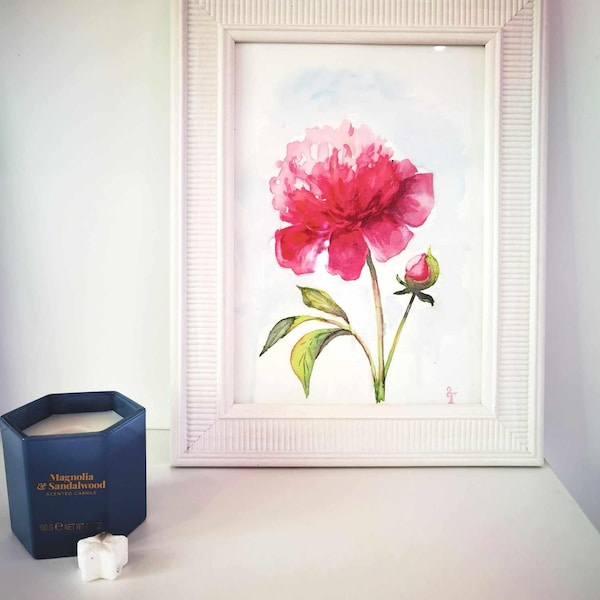 Pintura original de peonías en acuarela: Arte floral botánico rosa para pared - No es una impresión