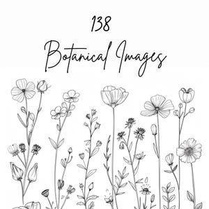 Wildflower Line Art Collection – 138 Botanical SVG & PNG Illustrations (Commercial Use)