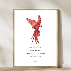 Rumi Love Quote Wall Art - Minimalist Red Bird  Poetry Poster - Love and Wisdom Rumi Poem - Digital Download