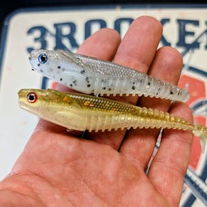 May include: Two soft plastic fishing lures. One is silver with black speckles and blue eyes, the other is gold with red eyes. Both have ribbed bodies and are designed to mimic small fish.