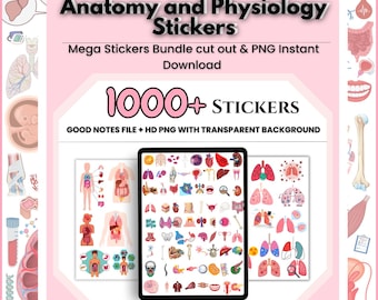Ponad 1000 naklejek z anatomii i fizjologii: Naklejki Goodnotes PNG (do pobrania w wersji cyfrowej)