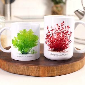Aquarium Plant Mug Aquascaping Red Stem Plant Art Gift For Aquascaper Planted Tank Aquarium Hobby Mug For Plant Lover Gift Fish Room Decor