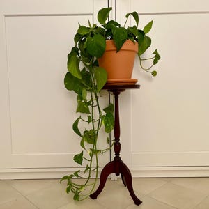 Mesa auxiliar vintage / Soporte para plantas vintage