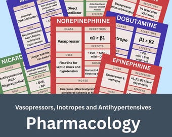 Notas de farmacología y hojas de referencia rápida para cuidados críticos: guía médica en PDF para profesionales de la salud