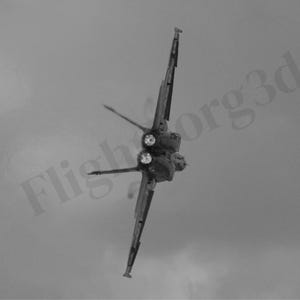 Digital Download - Blue Angel Afterburner, Black and White