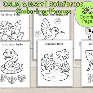 Op de afbeelding: Een verzameling van 30 printbare kleurplaten getiteld CALM & EASY | Rainforest Coloring Pages. De zwart-wit lijntekeningen bevatten illustraties van regenwoudflora, een kolibrie, een luipaard, een slang, een rivier en een sabelsprinkhaan.