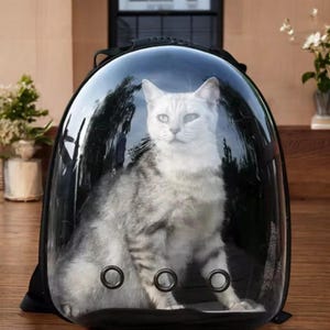 Space Capsule Cat Carrier Backpack - Portable, Breathable, and Essential for Pet Travel