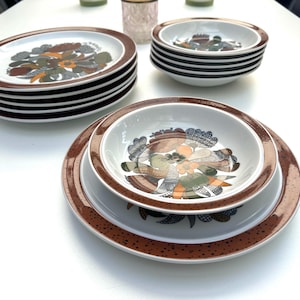 Thomas Kiruna Camargue, Rosenthal 6 deep plates and 6 flat dinner plates