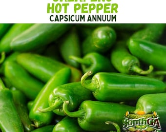 Jalapeño Pepper Seeds – Heirloom, Non-GMO – Medium Heat, High Yield