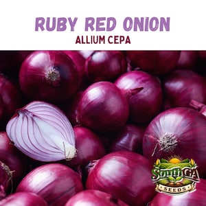 May include: Close-up of Ruby Red Onions, with the text "RUBY RED ONION ALLIUM CEPA". The image shows a pile of whole red onions, with one cut in half to reveal its white and purple layers. A logo for South GA Seeds is in the bottom right corner.