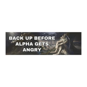 May include: A wolf sits on a rocky shore with a stormy sky in the background. The text "Back up before alpha gets angry" is written in white letters across the top of the image.