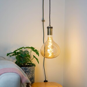 May include: A decorative Edison light bulb with a teardrop shape hangs from a black cable. The bulb emits a warm, amber light and has a visible filament. The fixture has a brass-coloured base. A potted plant is in the corner.