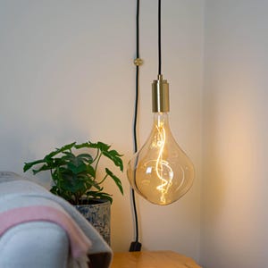 May include: A decorative light bulb with a teardrop shape and a warm amber glow. The bulb hangs from a black cord with a gold-coloured metal fixture. A houseplant in a blue and white pot is visible in the background.