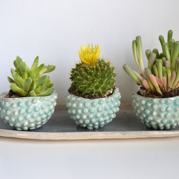 J A D E & S T O N E : handmade ceramic succulent planter set