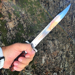 May include: A polished steel dagger with a reflective blade and a wooden handle. The handle has a dark brown finish with a reddish-brown pattern. The dagger is held against a textured, mossy background.