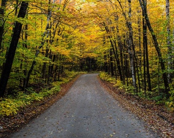 Baxter State Park Fall Photography: Maine Autumn Colors Art Print