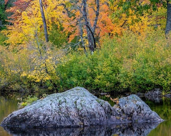 Orono Maine Fall Colors Photography: Fine Art Print