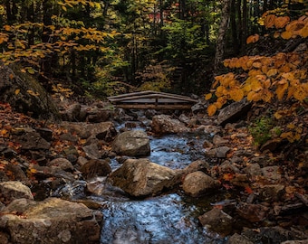 Fotografía de otoño en el Parque Nacional Acadia: Arte en arroyos y puentes de Maine