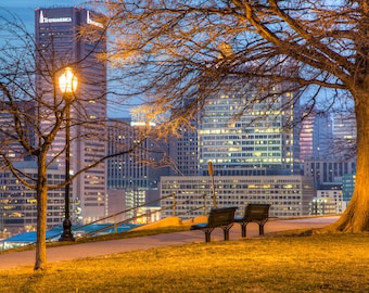 Baltimore Skyline Photograph: Federal Hill View, Maryland Art