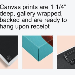 May include: Close-up of a canvas print with a white frame. The print is gallery wrapped and has a hanging hardware on the back. The canvas is 1 1/4 inches deep.