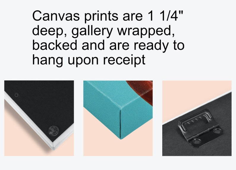 May include: Close-up of a canvas print with a white frame. The print is gallery wrapped and has a hanging hardware on the back. The canvas is 1 1/4 inches deep.