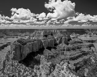 Grand Canyon Cape Royal Black and White, Grand Canyon, North Rim, Arizona Art, Arizona Photography, National Park, Fine Art Photography