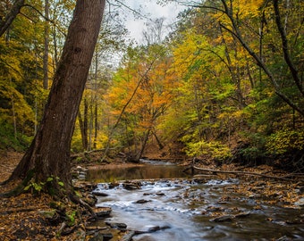 Finger Lakes Waterfall Art: Glen Grimes Park Fall Colors Photography