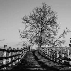 Maryland Art,  Mumma Farm Cemetery, Black and White Fine Art Photography, Maryland Photography, Civil War, Civil War Art