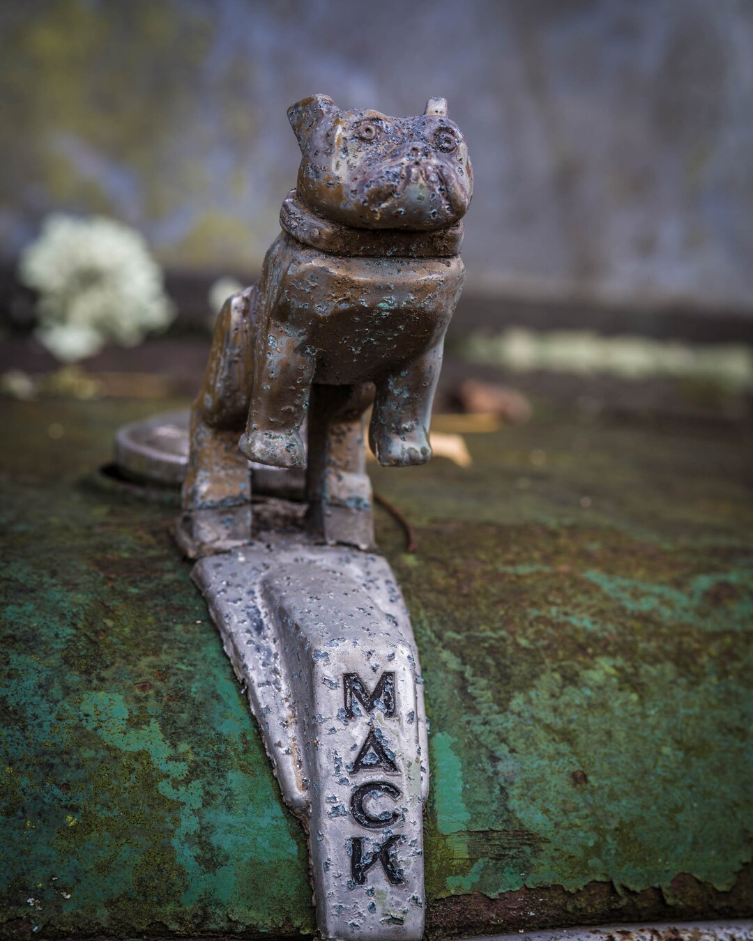 Mack Truck Bulldog Hood Ornament Fine Art Print: Junkyard Vintage