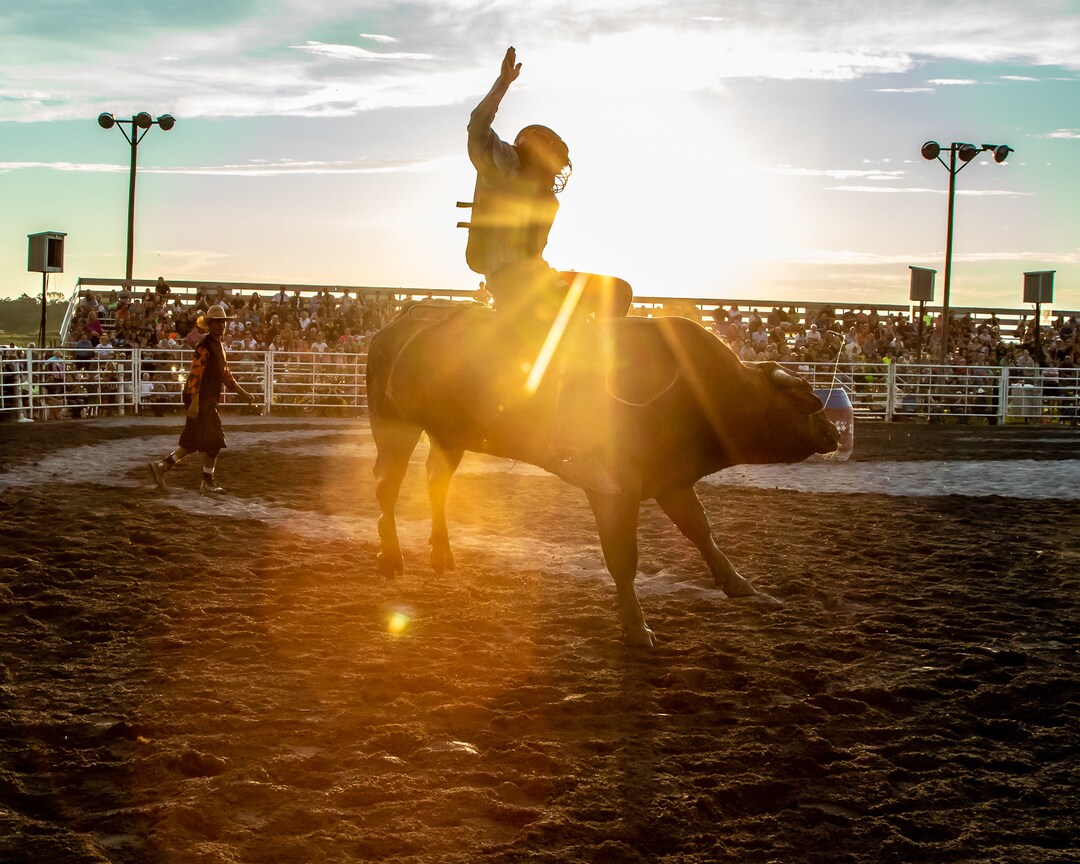 Summertime Rodeo Summer Rodeo Photograph: Western Gallery Wrapped Canvas Art - Etsy