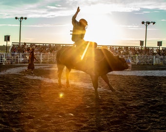 Photographie de rodéo estival : oeuvre d'art sur toile tendue dans une galerie western