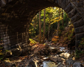 Waterfall Bridge Acadia National Park, Carriage Road, Maine Art, Maine Decor, Maine Photography, Fall Colors, Fall Photography, Fall Prints