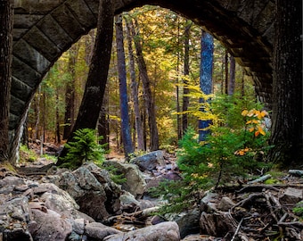 Acadia National Park Fall Photography: Hemlock Bridge, Maine Art