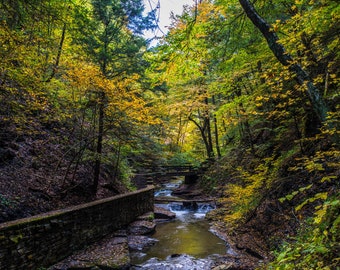 Filmore Glen Waterfall Photography: New York Finger Lakes Fall Art