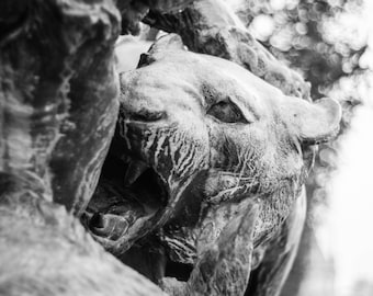 Paris Lion Sculpture Photography: Black and White Fine Art Print