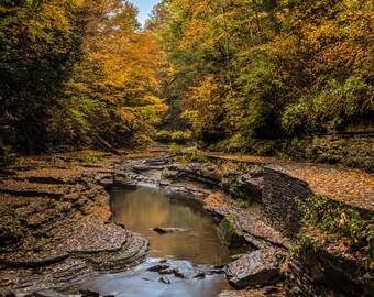 New York Finger Lakes, Watkins Glen, Waterfall Art, Waterfall Photography, Fall Colors, Fine Art Photography